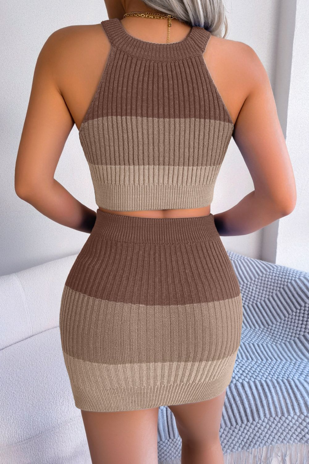Color Block Sleeveless Crop Knit Top and Skirt Set - ViarousViarousViarous