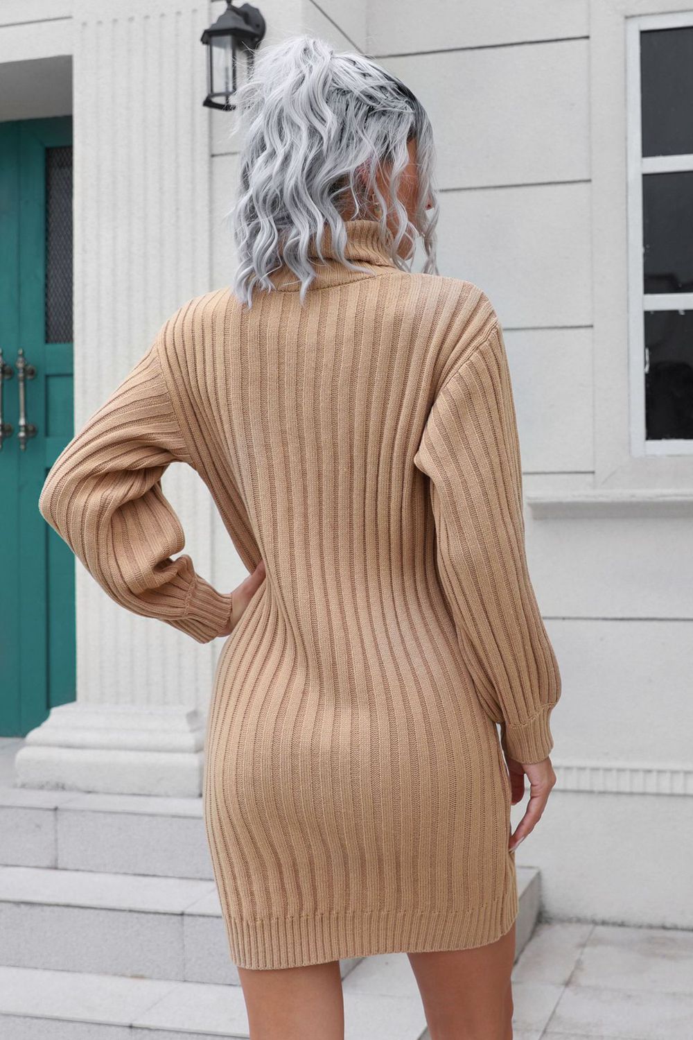 Ribbed Turtle Neck Long Sleeve Mini Sweater Dress - ViarousViarousViarous