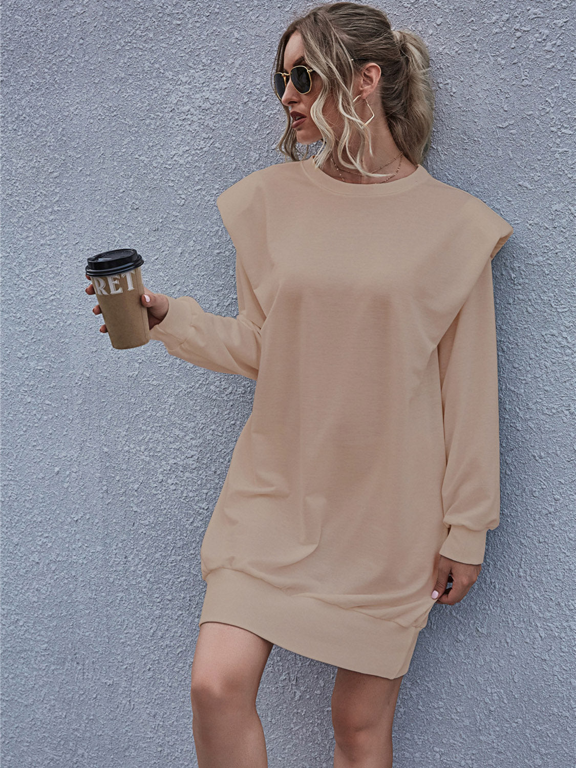 Round Neck Long Sleeve Mini Dress - ViarousViarousViarous